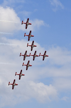 SnowBirds