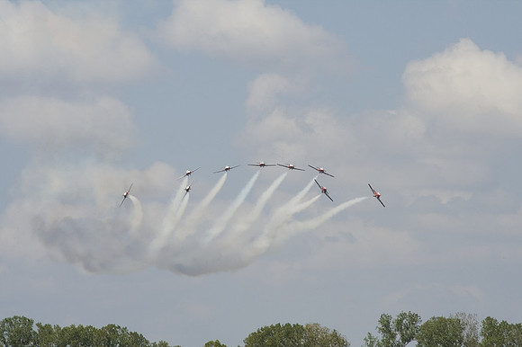 SnowBirds