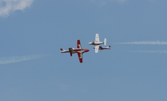 SnowBirds
